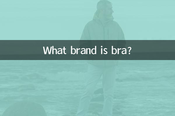 De quelle marque est le soutien-gorge ?