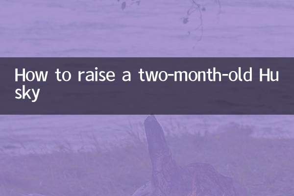 কিভাবে একটি দুই মাস বয়সী Husky বাড়াতে