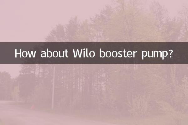 ¿Qué tal la bomba de refuerzo Wilo?