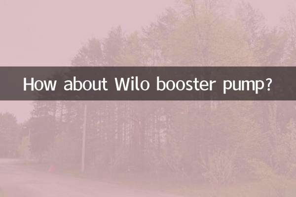 ¿Qué tal la bomba de refuerzo Wilo?