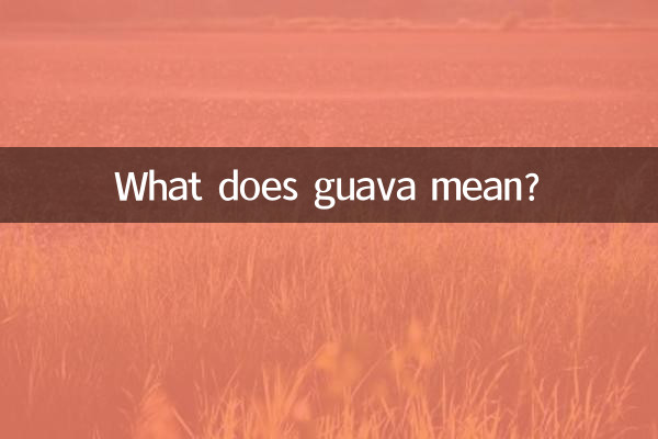 guava是什么意思