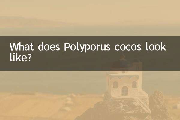 Wie sieht Polyporus cocos aus?