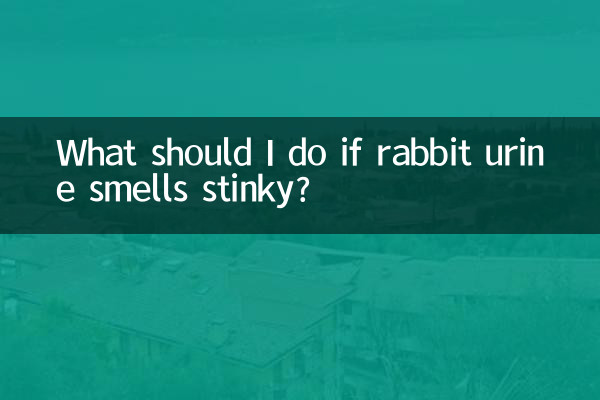 Что делать, если моча кролика пахнет неприятным запахом?