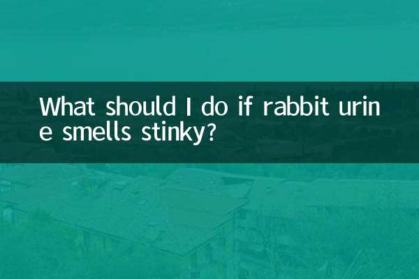 খরগোশের প্রস্রাবের দুর্গন্ধ হলে আমার কী করা উচিত?