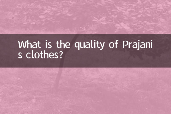 What is the quality of Prajani’s clothes?