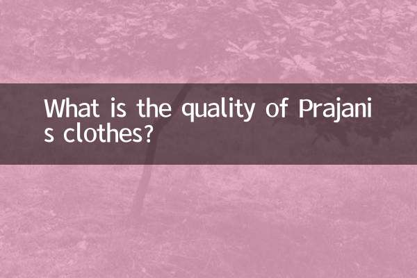 What is the quality of Prajani’s clothes?