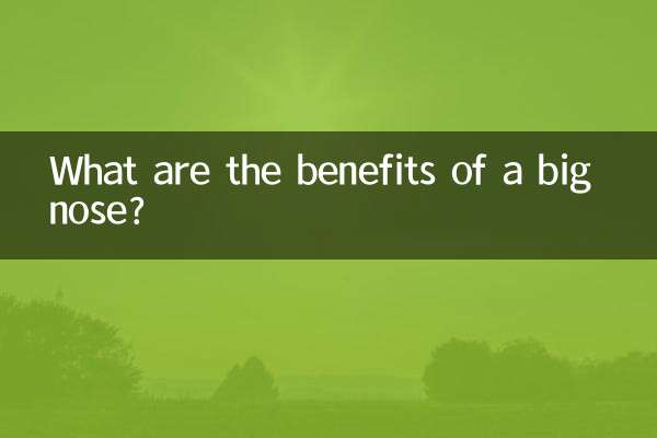 鼻が大きいとどんなメリットがあるのでしょうか？