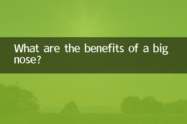 鼻が大きいとどんなメリットがあるのでしょうか？