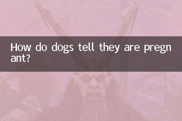 How do dogs tell they are pregnant?