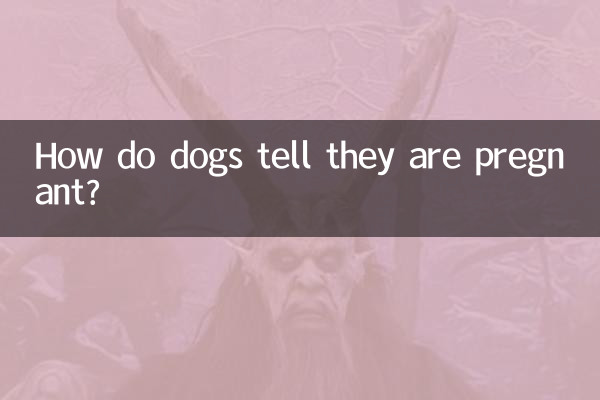 How do dogs tell they are pregnant?