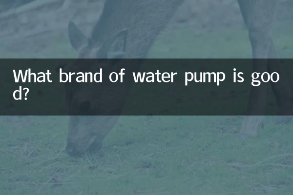 What brand of water pump is good?