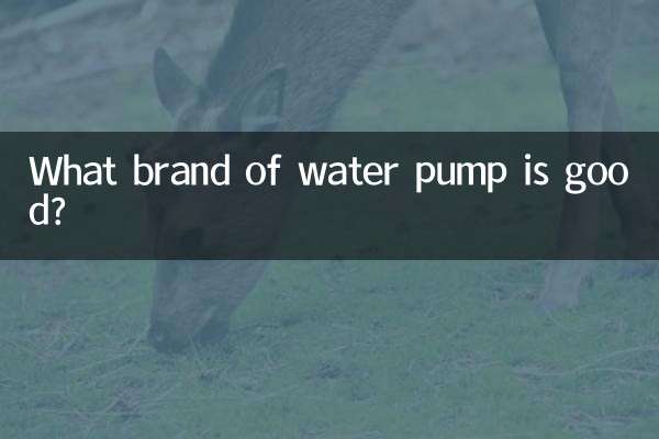 What brand of water pump is good?