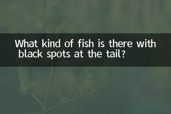 魚尾有黑點是什麼魚
