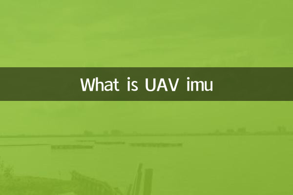 ما هو طائرة بدون طيار IMU