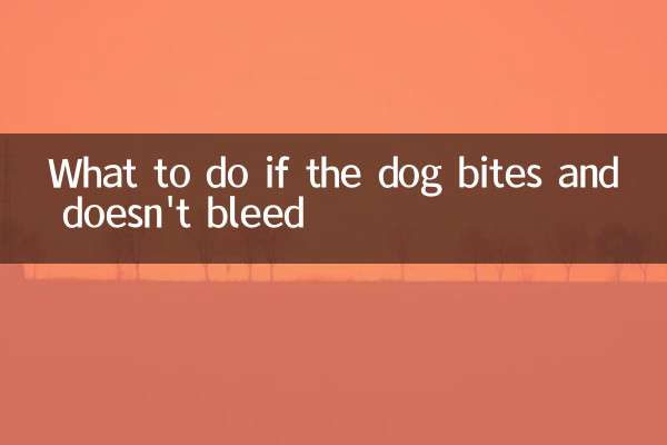 O que fazer se o cachorro morder e não sangrar