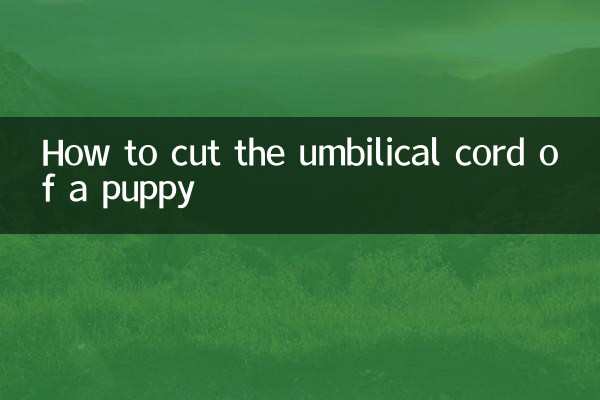 How to cut the umbilical cord of a puppy