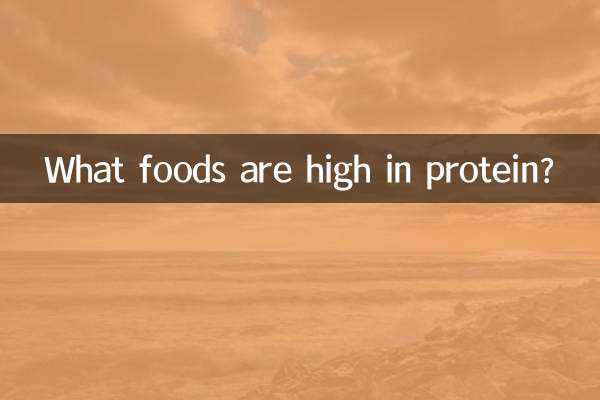 What foods are high in protein?