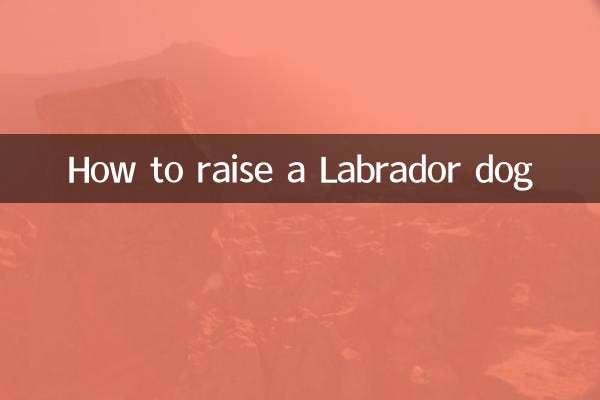 Cómo criar un perro labrador