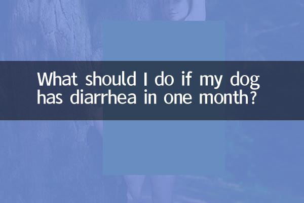 What should I do if my dog ​​has diarrhea in one month?