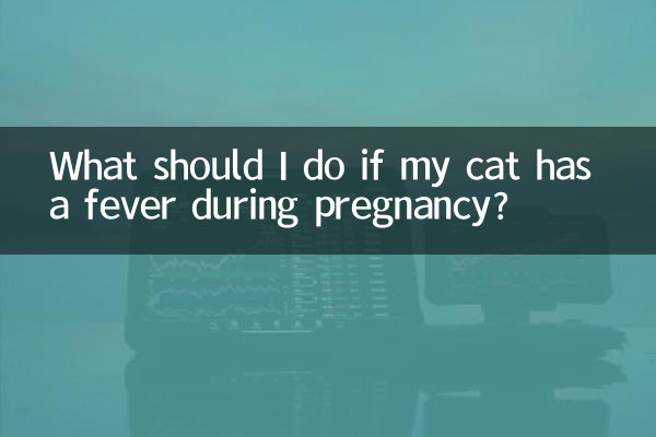 Was soll ich tun, wenn meine Katze während der Schwangerschaft Fieber hat?