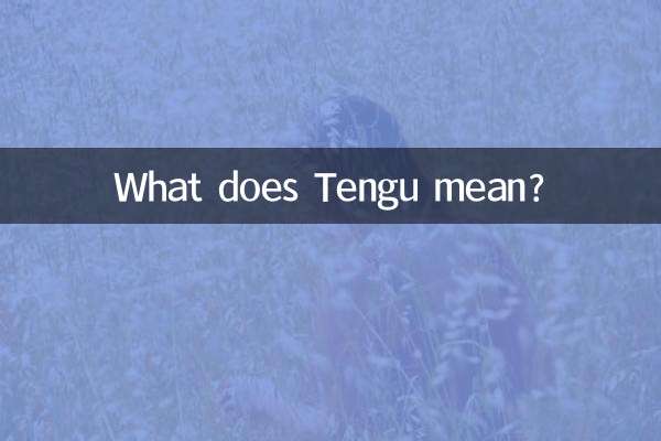 টেংগু মানে কি?