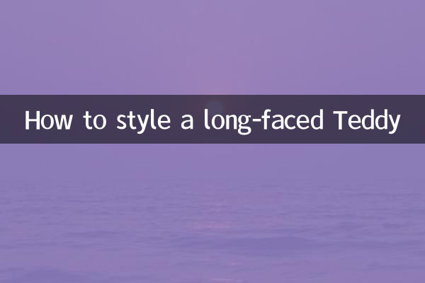 长脸泰迪怎么造型