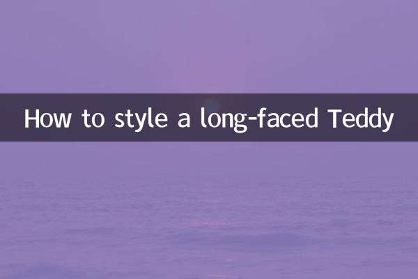 长脸泰迪怎么造型