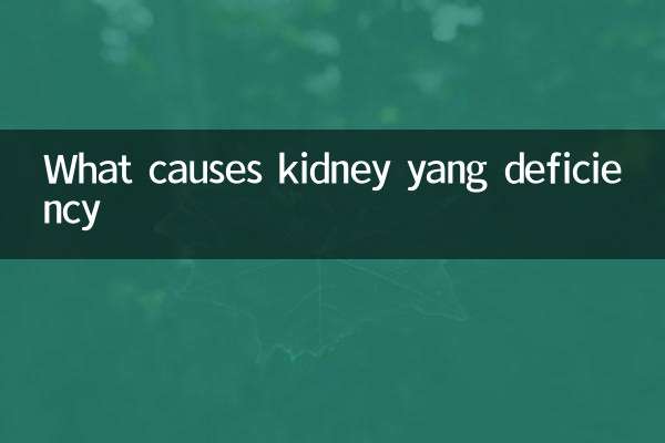 什麼引起腎陽虛