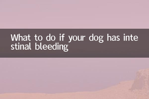 আপনার কুকুরের অন্ত্রের রক্তপাত হলে কী করবেন