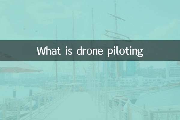Was ist Drohnensteuerung?