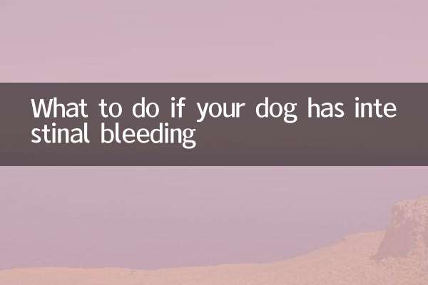 Cosa fare se il vostro cane ha un sanguinamento intestinale?