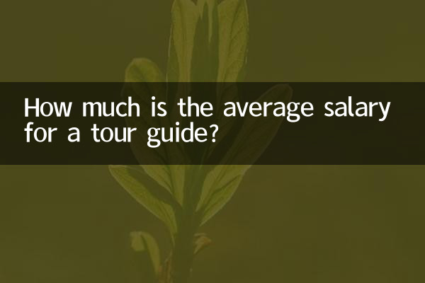 كم هو متوسط راتب المرشد السياحي؟