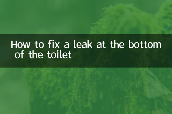 How to fix a leak at the bottom of the toilet