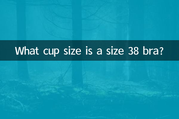 38사이즈 브래지어는 어떤 컵 사이즈인가요?
