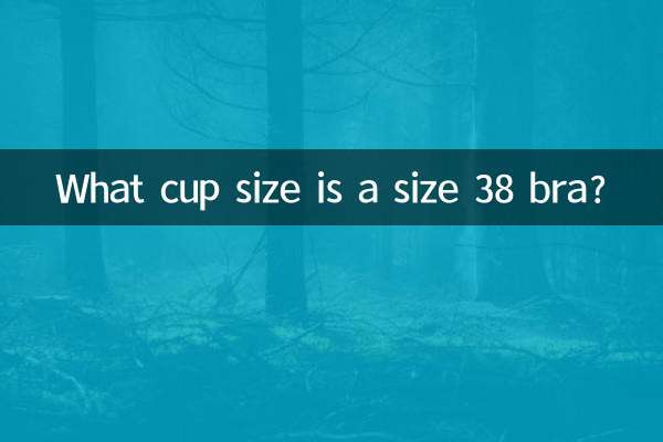 ما حجم الكأس هو حجم حمالة الصدر 38؟