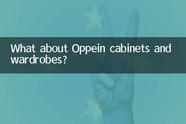 ¿Qué pasa con los armarios y guardarropas Oppein?