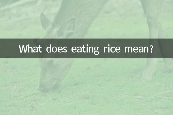 밥을 먹다은 무슨 뜻인가요?