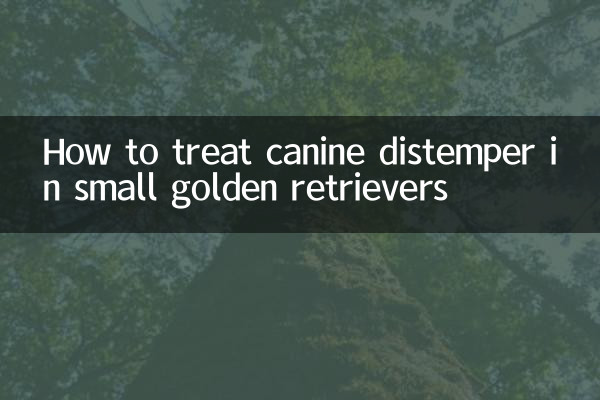 작은 골든 리트리버의 개 홍역을 치료하는 방법