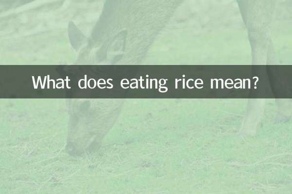 Что значит есть рис?