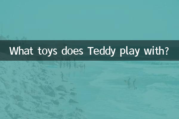 泰迪玩什麼玩具