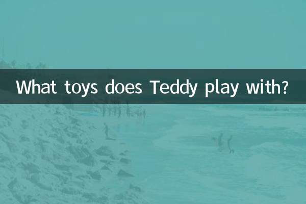 泰迪玩什麼玩具