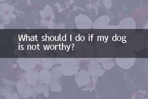 ماذا علي أن أفعل إذا كان كلبي لا يستحق؟