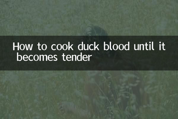نحوه پختن خون اردک تا زمانی که نرم شود