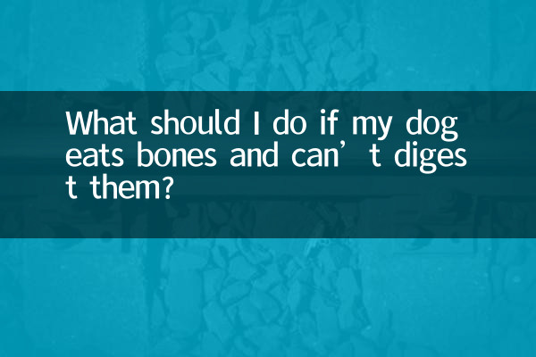 What should I do if my dog eats bones and can’t digest them?