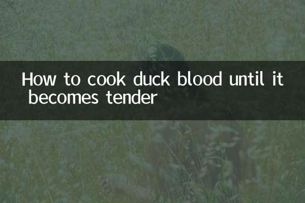 نحوه پختن خون اردک تا زمانی که نرم شود