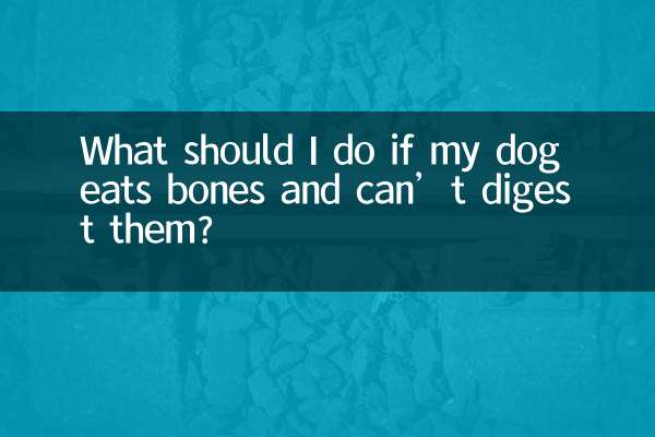 What should I do if my dog eats bones and can’t digest them?