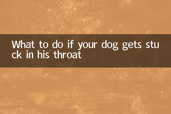 Cosa fare se il tuo cane rimane bloccato in gola