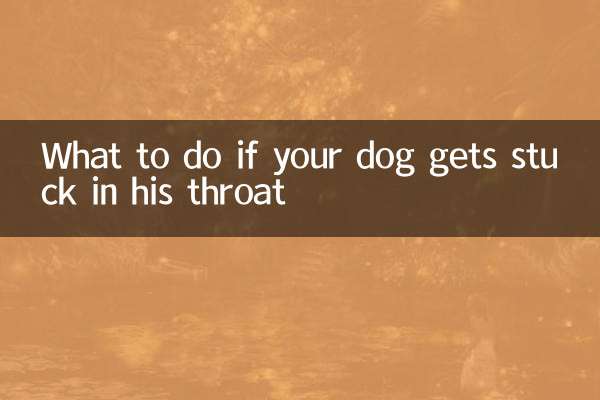 Cosa fare se il tuo cane rimane bloccato in gola