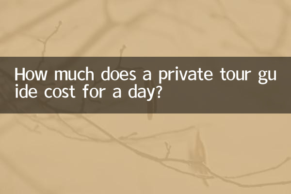 ¿Cuánto cuesta un guía turístico privado por un día?
