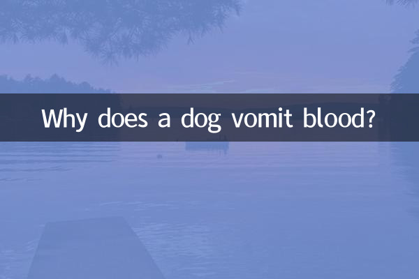 Why does a dog vomit blood?